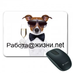 DATORA PELES PALIKTŅI ar...