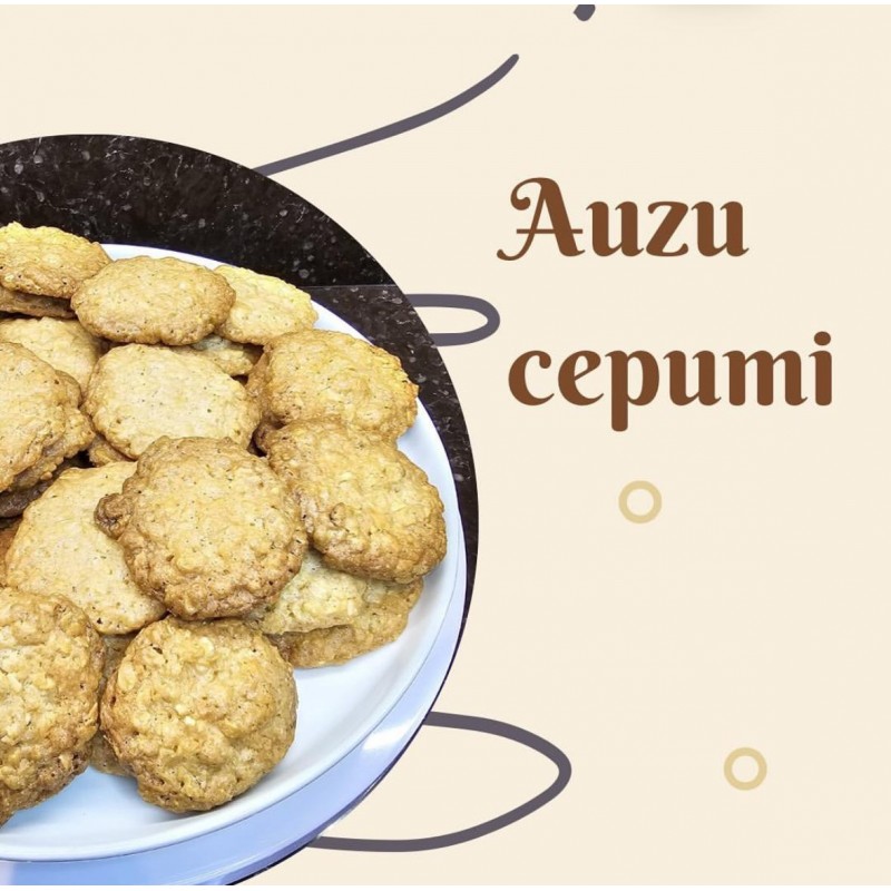 Auzu cepumi